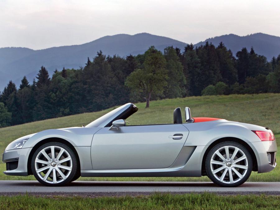  Volkswagen BlueSport Roadster 2009 года  (фото 30 из 35)